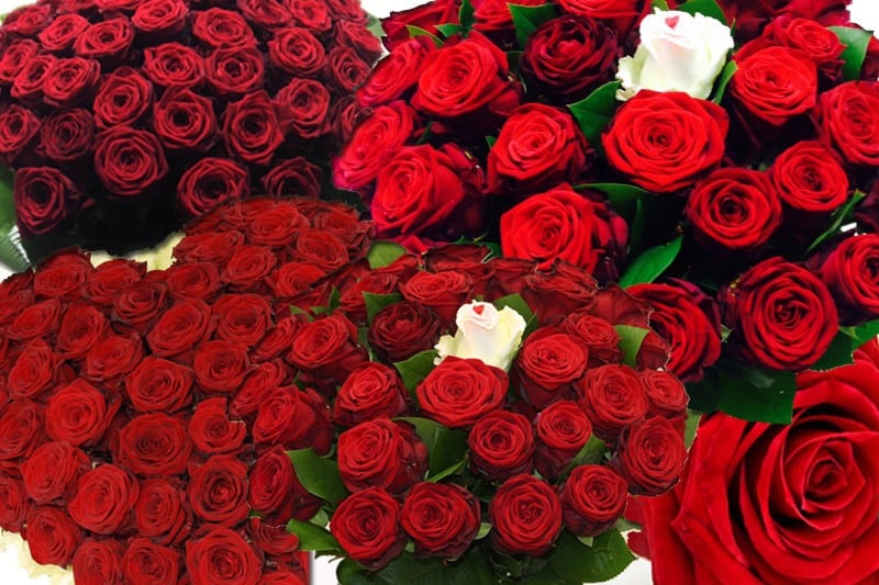 1000 rode rozen arrangement