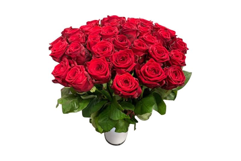 schaamte Portugees strottenhoofd 30 rode rozen kopen Verjaardag - Liefde - Felicitatie - Regioboeket.nl