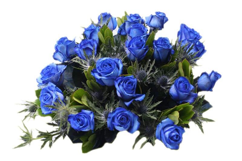 boeket blauwe rozen
