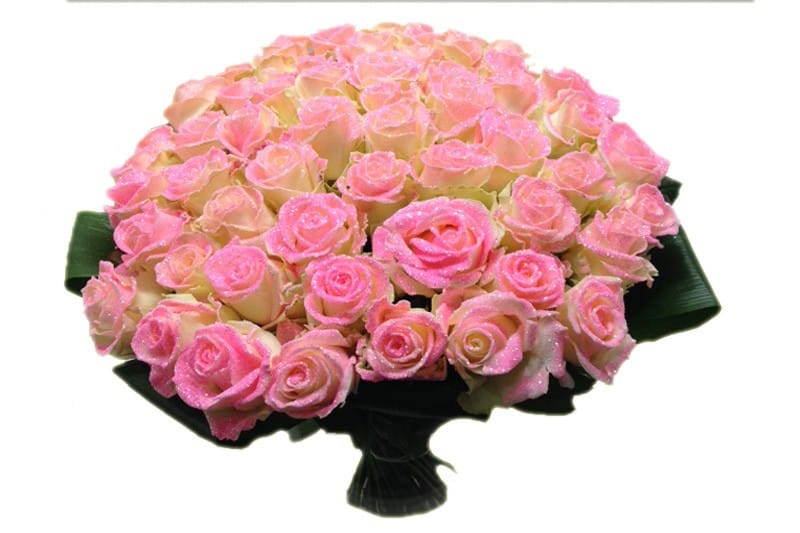 50 Pink roses gay parade