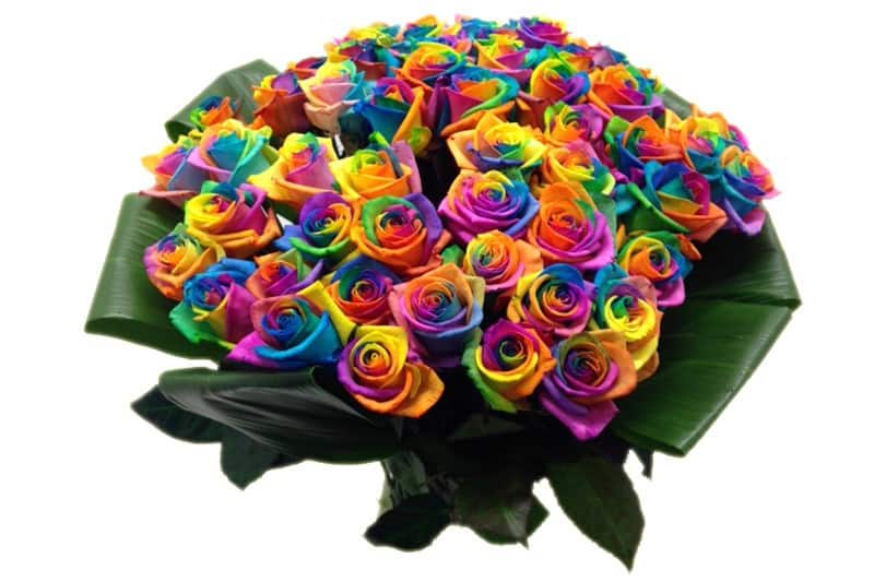 Boeket 50 rainbow roses