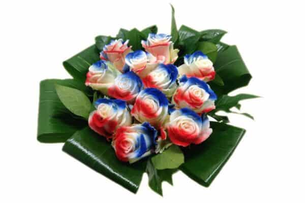 vlag rood wit blauw Nederland rozen