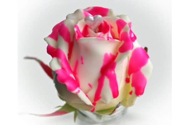 Roseberry love rozen