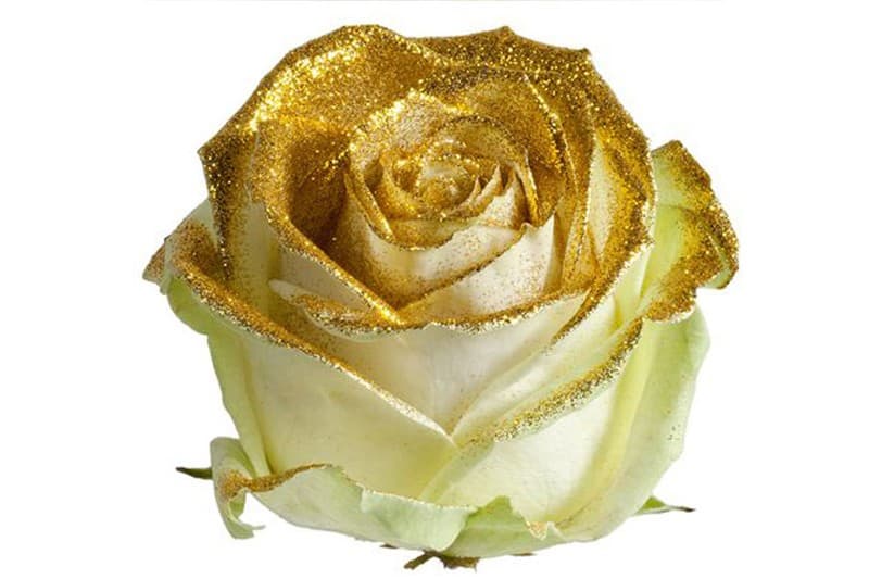 goud kleurige glitter op avalanche rozen