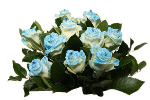 Moederdag blauwe rozen met parels en hartje