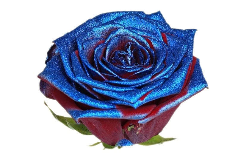 Blauw kleurige glitter rozen