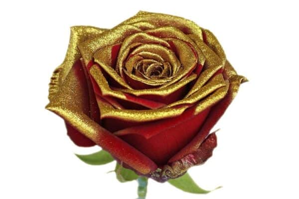 Rode rozen met goudkleurige glitters