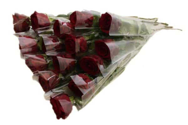 100 rode rozen per stuk ingepakt