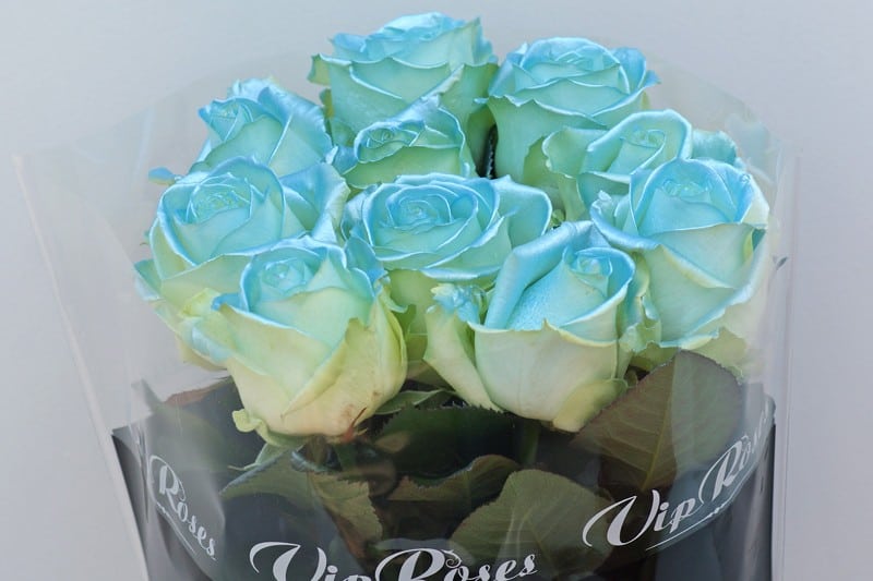 blue satin roses