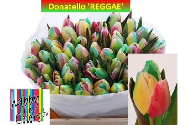 Donatello Reggae geel, rood en groen